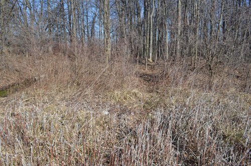 Property photo 13 - East Allen County - 55 Acre Land Auction